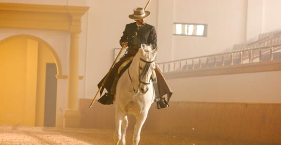 Jerez de la Frontera: How the Andalusian Horses Dance