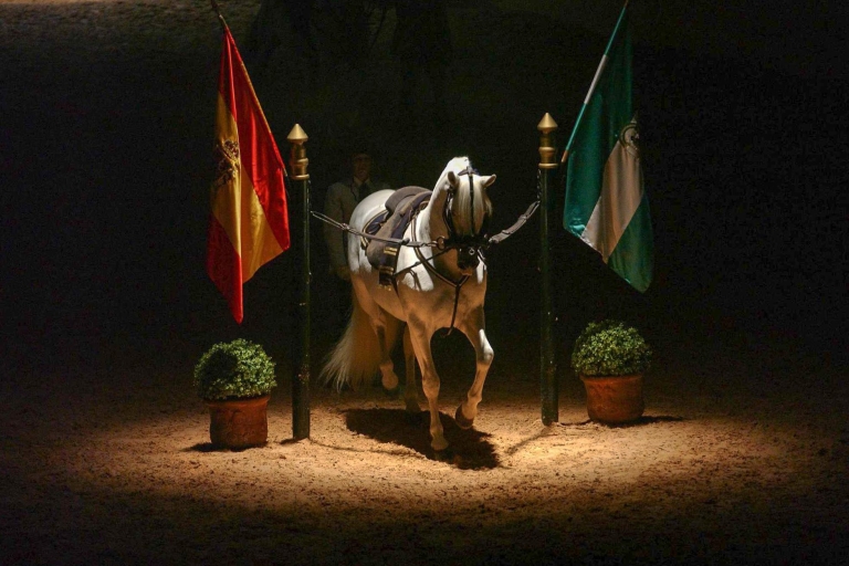 Jerez de la Frontera: Hoe Andalusische paarden dansenZitplaatsen 1e of 2e rij
