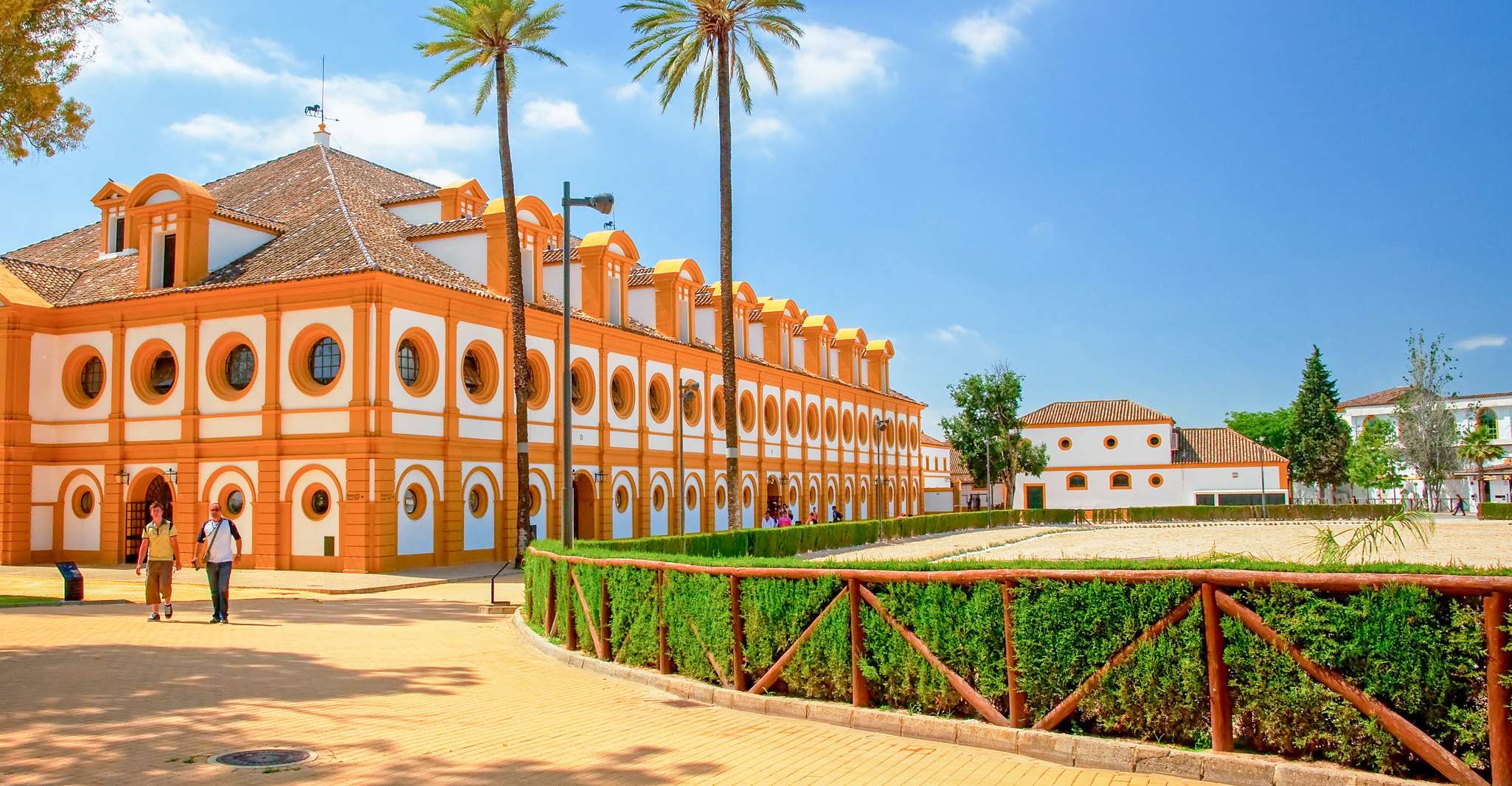 Jerez de la Frontera, How the Andalusian Horses Dance - Housity