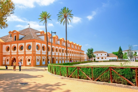 Toegang Koninklijke School voor Ruiterkunst Andalusië