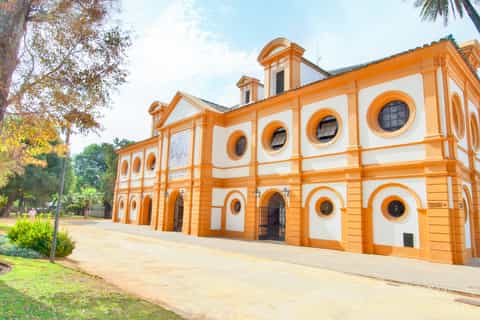 Royal Andalusian School of Equestrian Art Admission