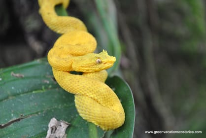 La Fortuna: Half-Day Wildlife Safari Float | GetYourGuide