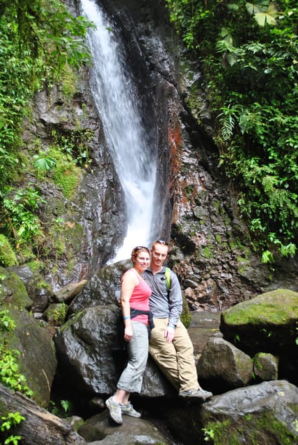 Arenal Hanging Bridges Half Day Tour From La Fortuna GetYourGuide