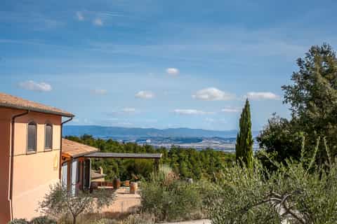 Montepulciano Vineyards Tour with Lunch