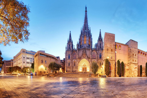 Barcelona Private Tour: Sagrada Familia,Park Güell & Pedrera