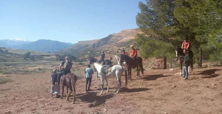 Marrakech: Atlas Mountains Horse Riding Day Trip