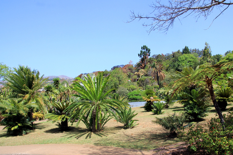 Madeira: Jardín botánico en un tour de Tukxi