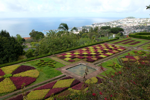 Funchal: Giardino Botanico in un tour in Tuk-TukTour in inglese, portoghese o spagnolo