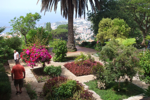 Funchal: Botanical Garden in a Tuk-Tuk TourTour in English, Portuguese, or Spanish