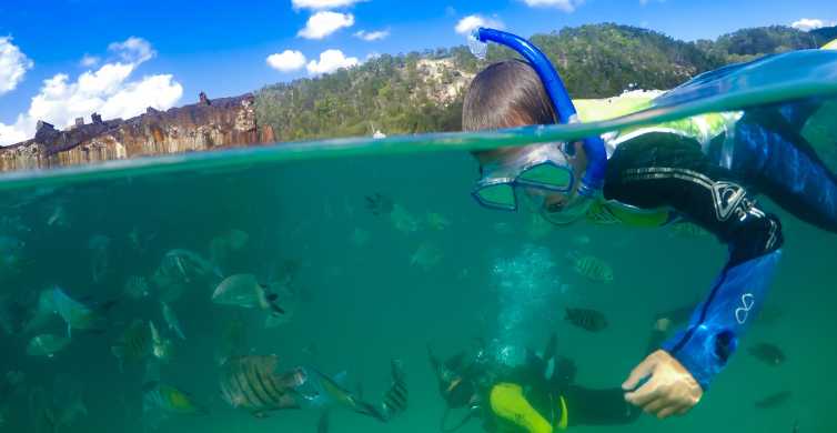 From Brisbane: Tangalooma Cruise with Wrecks Snorkel Tour