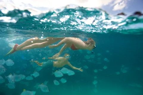 Moreton Island: Tangalooma Snorkelling with Dolphin Viewing