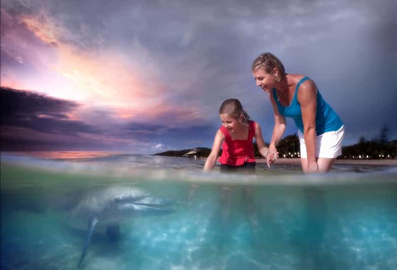 Moreton Island: Wreck Snorkeling & Dolphin Feeding Day Trip