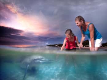 Moreton Island: Tangalooma Snorkeling Tour & Dolphin Feeding