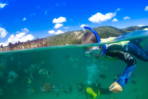 Wyspa Moreton: jednodniowa wycieczka do nurkowania z wrakami i karmienia delfinów