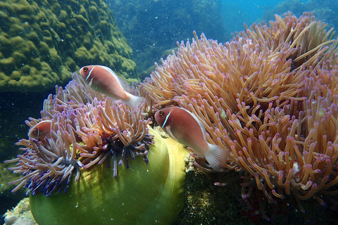 Mu Ko Ang Thong Park: Semi-private Sunset Cruise Tour
