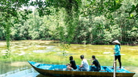 Ho Chi Minh, Tour privato della Foresta di Mangrove di Can Gio - Hizvo
