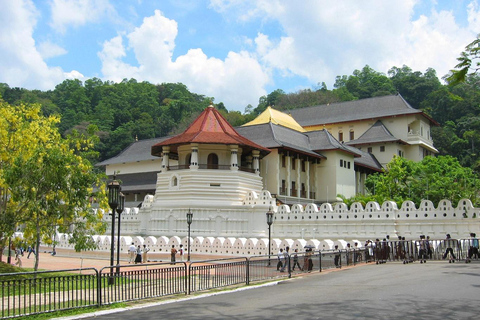 Sri Lanka - Circuit de 4 jours à Kandy et Nuwara Eliya, dans la région du thé et des collines