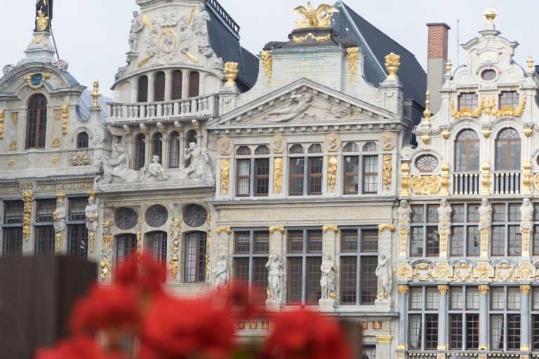 Bruksela: Prywatne zwiedzanie Górnego i Dolnego Miasta
