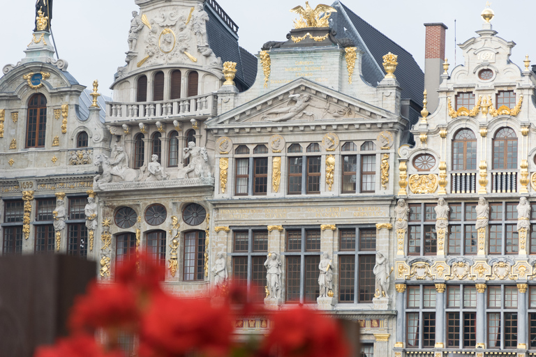 Brussel: privérondleiding door de Boven- en Benedenstad