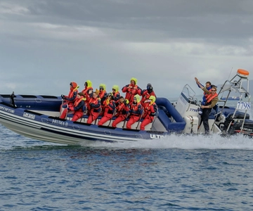 Reykjavik: Premium Whale Watching with Flexible Ticket