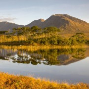 From Dublin: Connemara and Galway Full-Day Tour
