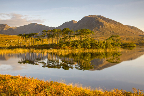 Depuis Dublin : excursion dans le Connemara et à GalwayRendez-vous à O’Connell Street