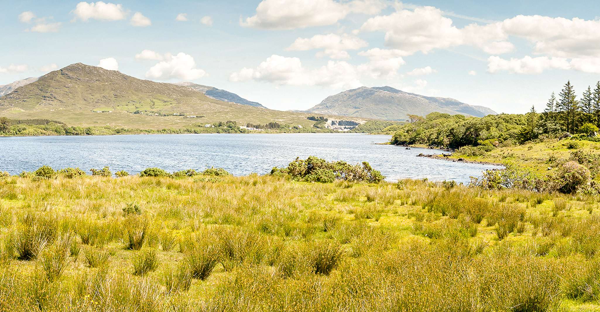 De Galway, Connemara et Kylemore Abbey Visite guidée d'une journée - Hizvo