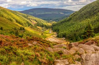 Von Dublin aus: Wilde Wicklow Mountains und Glendalough Tour
