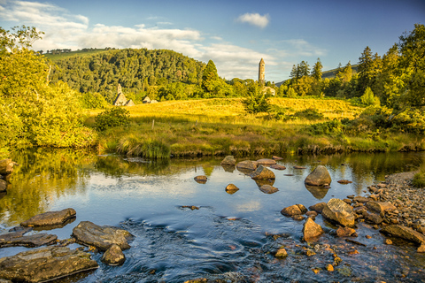 Vanuit Dublin: dagtrip naar Glendalough, Wicklow en KilkennyGlendalough, Wicklow, Kilkenny & kuddehondenwerk