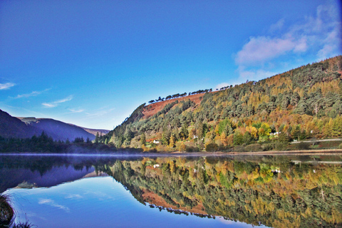 Vanuit Dublin: dagtrip naar Glendalough, Wicklow en KilkennyGlendalough, Wicklow, Kilkenny & kuddehondenwerk