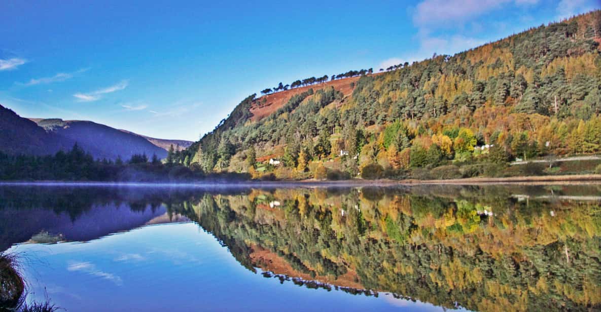 Démonstration de Glendalough, Wicklow, Kilkenny et de chiens de berger