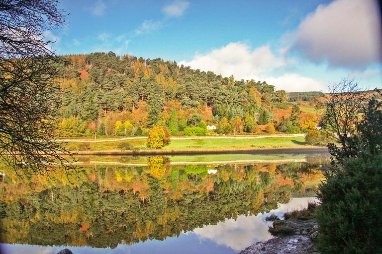 Desde Dublín: excursión a Glendalough, Wicklow y KilkennyGlendalough, Wicklow, Kilkenny y muestra de perros pastores