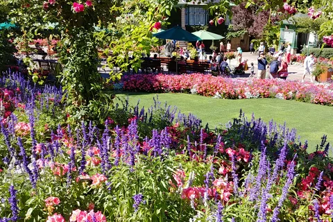 Victoria & Butchard Gardens Private Tour from Vancouver