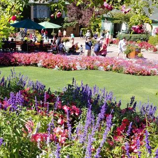 Visite privée de Victoria & Butchard Gardens au départ de Vancouver