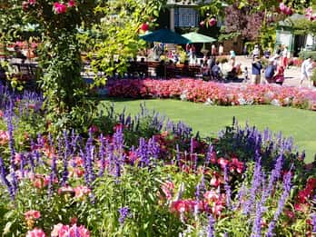 Victoria & Butchard Gardens: Private Tour ab Vancouver Victoria & Butchard Gardens: Private Tour ab Vancouver