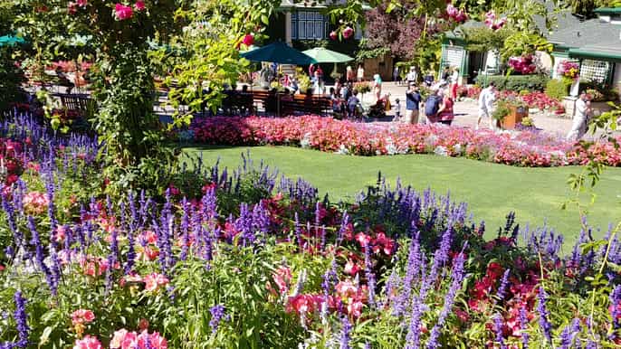 victoria butchard gardens private tour from vancouver