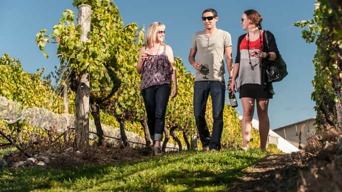 martinborough wine tour with platter lunch from wellington