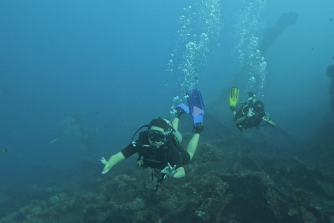Amed: Try Diving in Tulamben & Amed with PADI Instructor