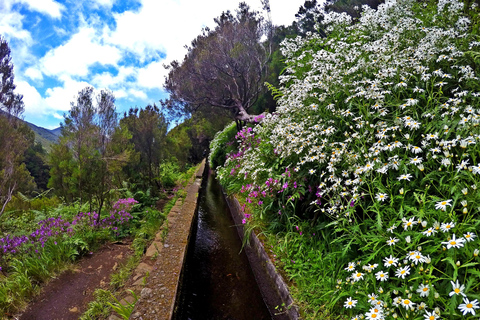 Rabaçal: Levada das 25 Fontes, guidad vandring i liten grupp