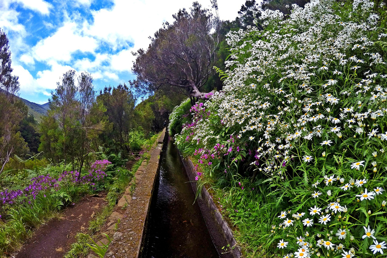 Rabaçal: Levada das 25 Fontes, guidad vandring i liten grupp