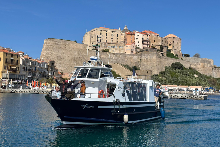 Calvi: Guided speedboat tour to Scandola Calvi: Guided tour by speedboat to Scandola
