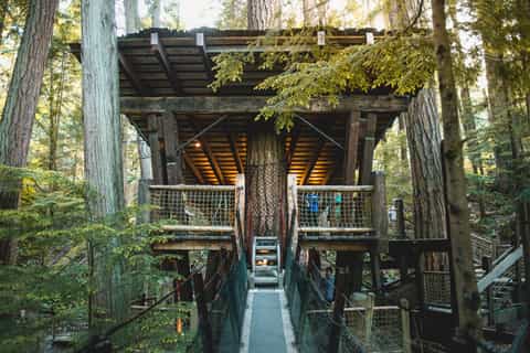 Vancouver: Capilano Suspension Bridge Park Entry Ticket