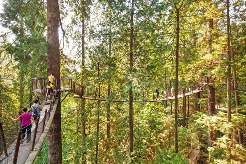 Vancouver Capilano Suspension Bridge Park SelfGuided Tour GetYourGuide