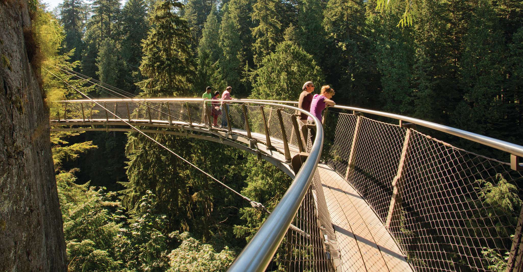 Vancouver Capilano Suspension Bridge Park Entry Ticket TourMega