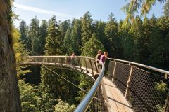 Vancouver: Tour Autoguiado Parque Ponte Suspensa Capilano