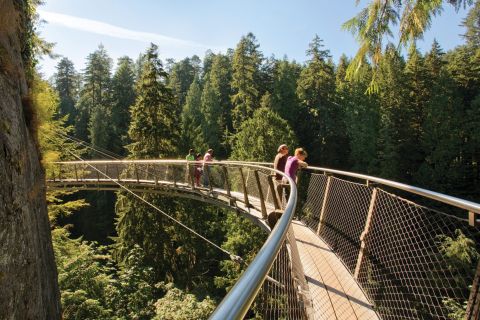 Vancouver: tour autonomo Parco e Ponte sospeso di Capilano
