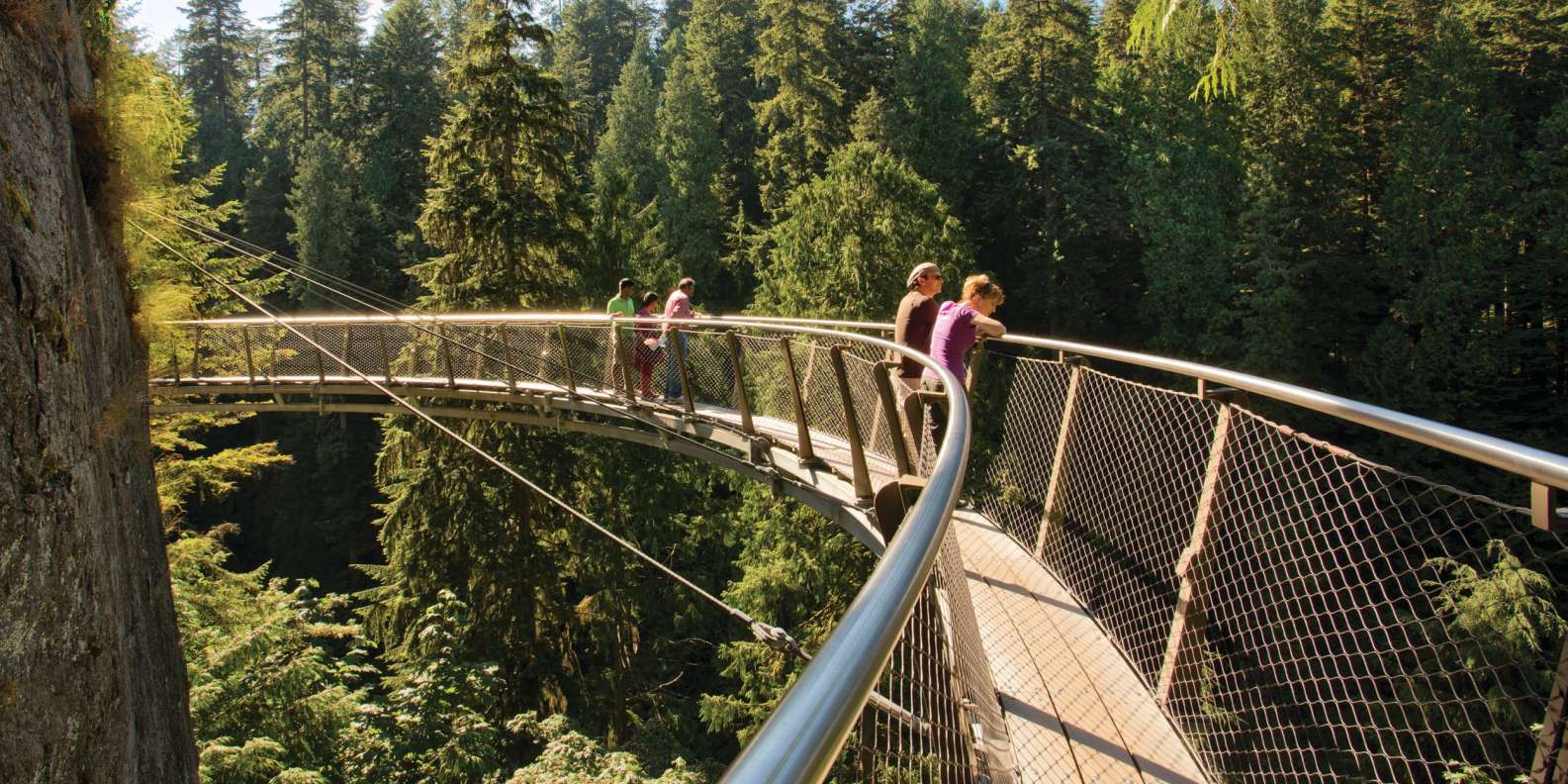 viuda De confianza lb Vancouver: ticket parque del puente colgante de Capilano | GetYourGuide