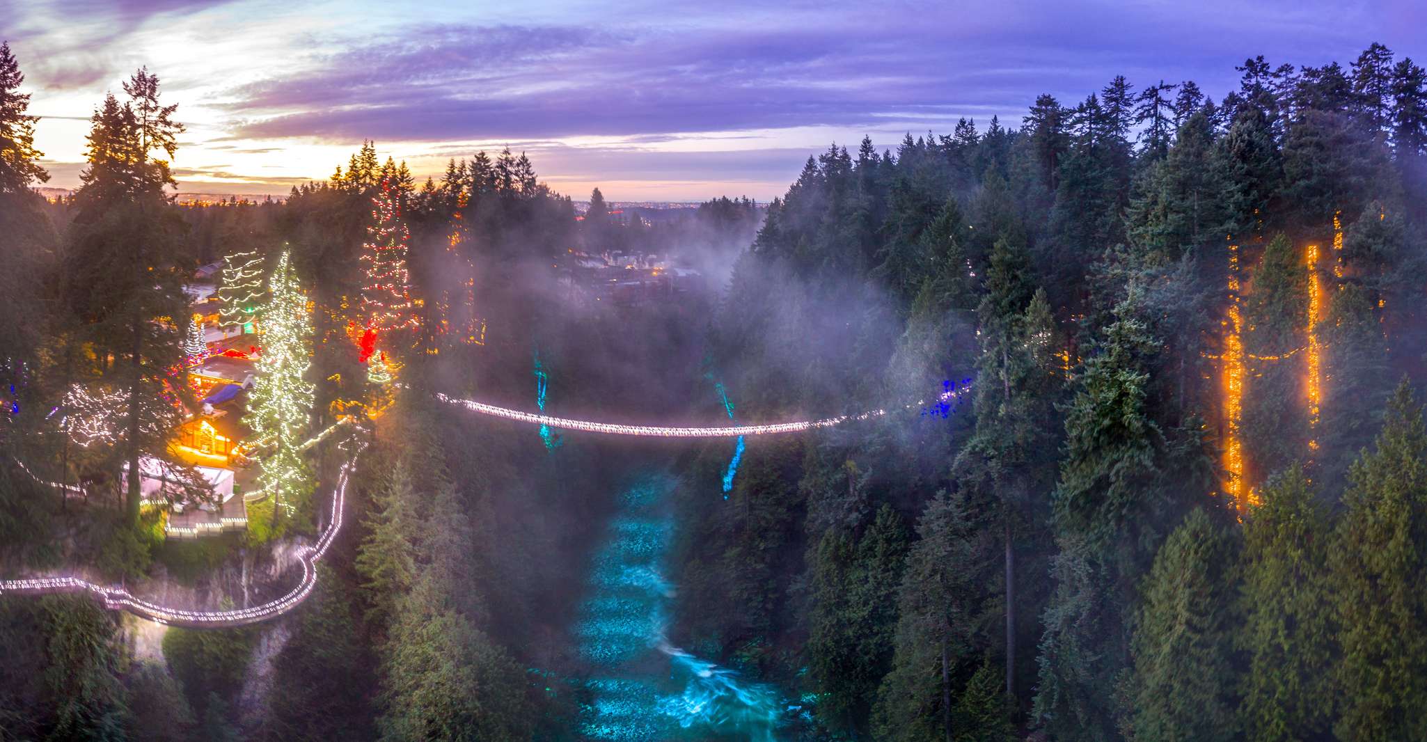 Vancouver Capilano Suspension Bridge Park Entry Ticket TourMega