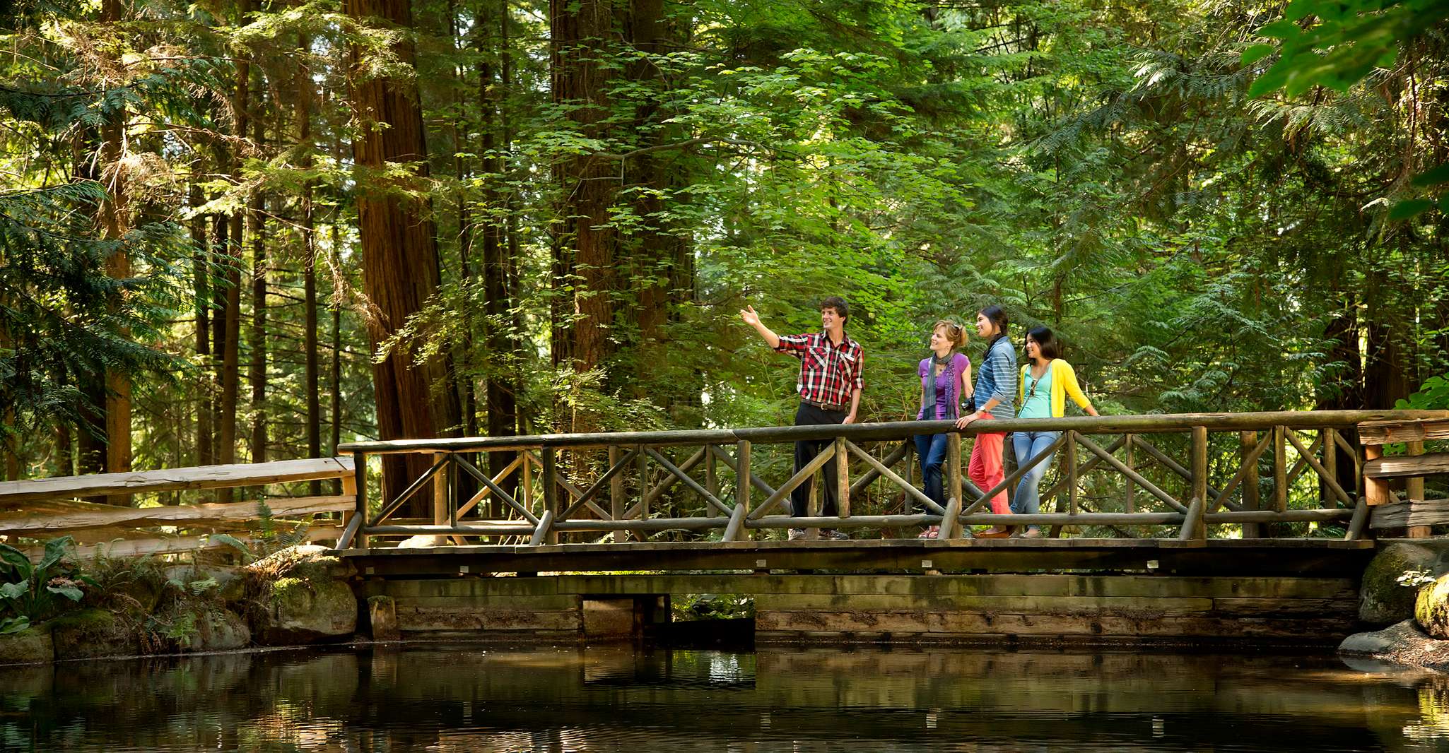 Vancouver Capilano Suspension Bridge Park Entry Ticket TourMega