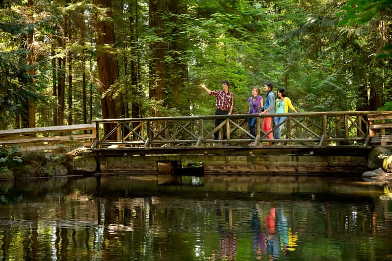 Vancouver Capilano Suspension Bridge Park SelfGuided Tour GetYourGuide